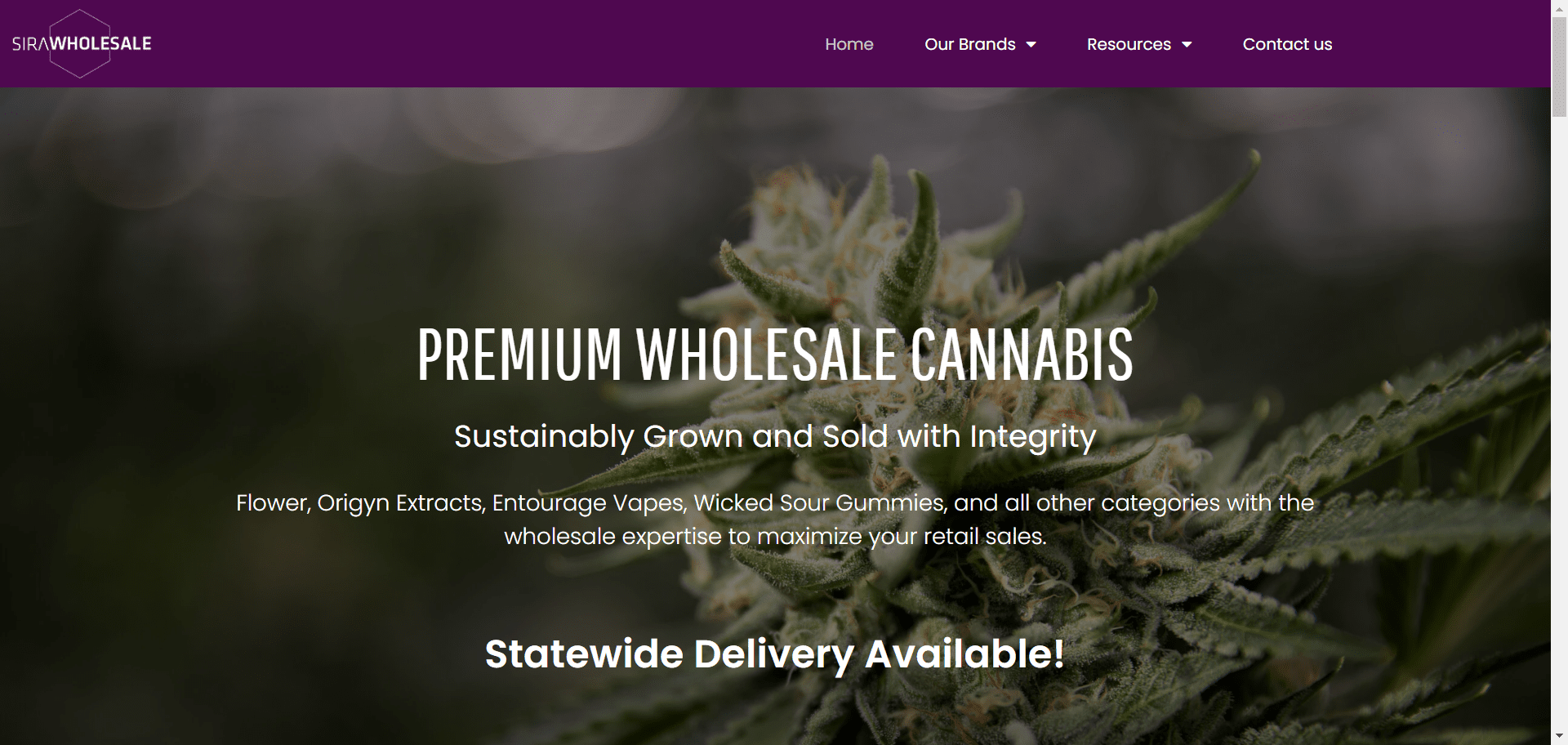 Sira-Cannabis-Wholesale-–-My-WordPress-Blog (5)